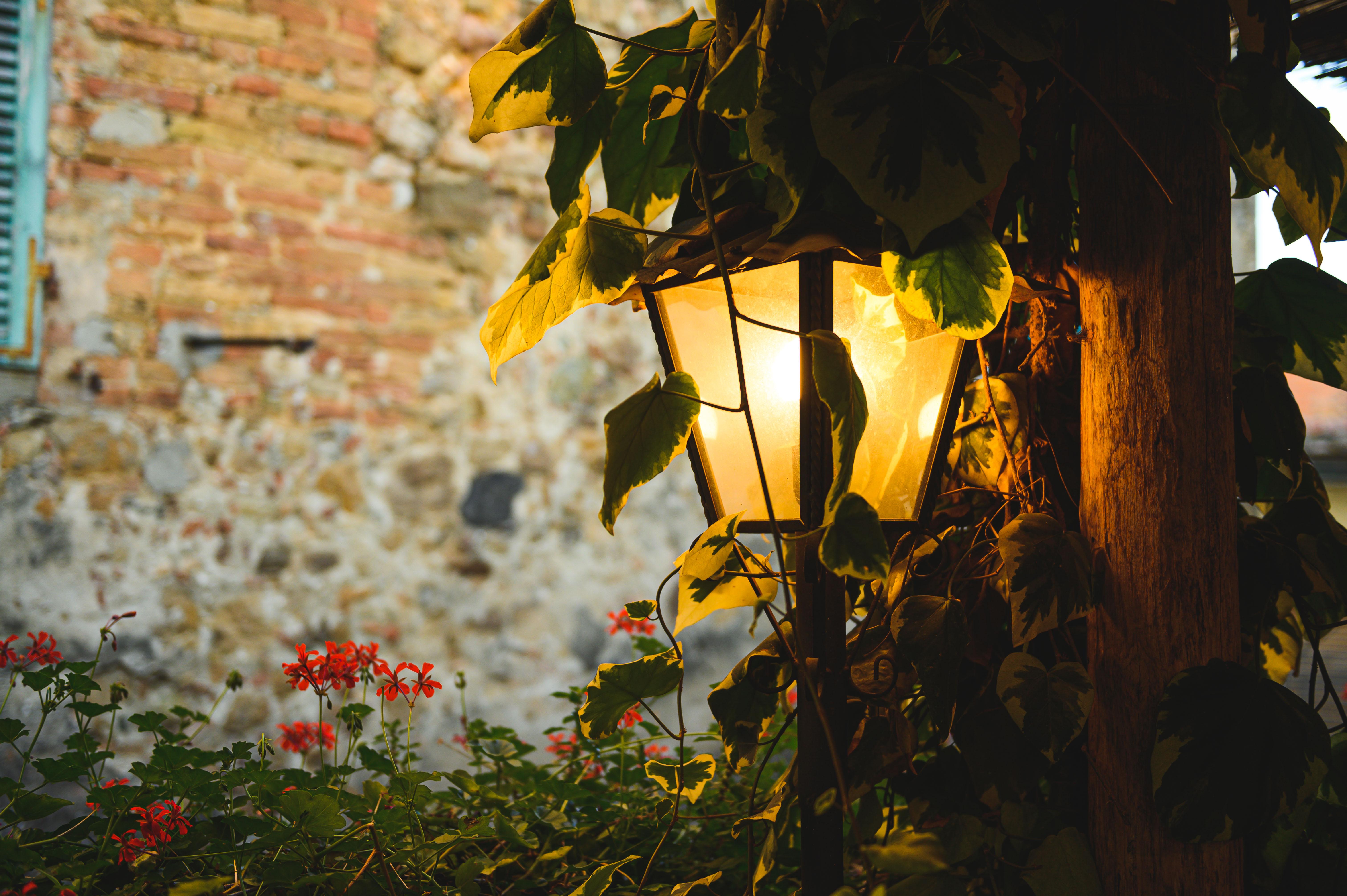 Boutique Villa Liberty - Dependance - Borgo Capitano Collection - Albergo Diffuso San Quirico dʼOrcia Exterior foto
